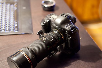 IMG_3643.jpg