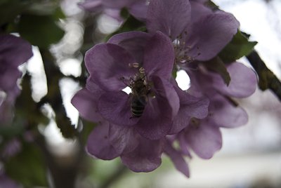 76FE0045.JPG