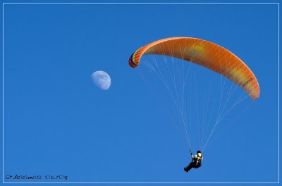 comp_Paraglider 004.jpg
