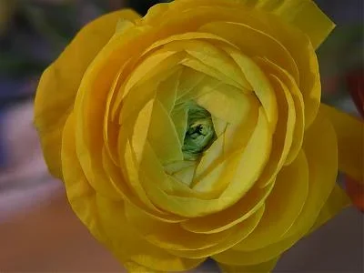 Versuche Weitwinkel 027.webp