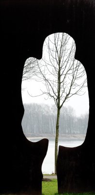 Baum durch Baum.jpg