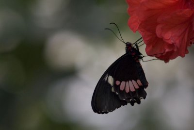 _DSC1541.jpg _DSC1541.jpg