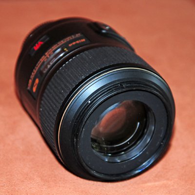 DSC_9087.JPG