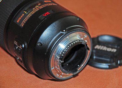 DSC_9089.JPG