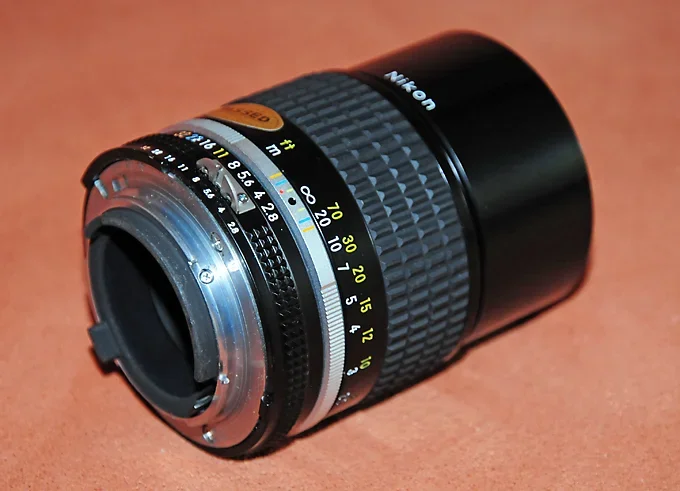 DSC_9081.webp