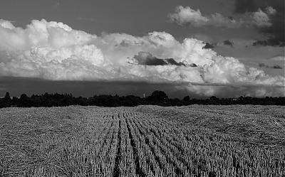 (c)MFocks_0812BergLand12sw.jpg