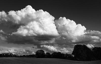 (c)MFocks_0812BergLand14sw.jpg