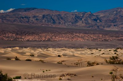 Dunes at Stovepipe Wells-Death Valley, Ca..jpg