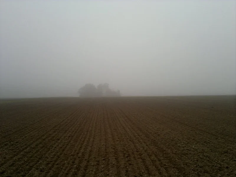 Herbstnebel.webp