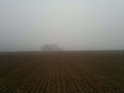Herbstnebel.jpg