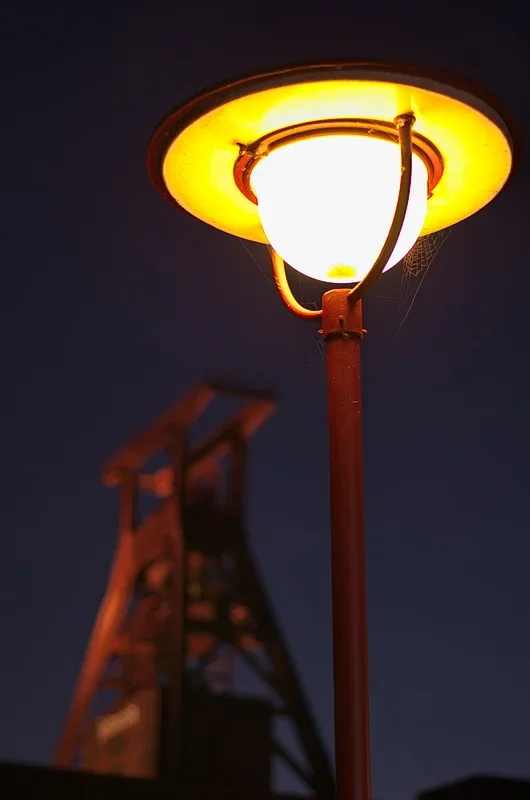 IMGP9184.webp
