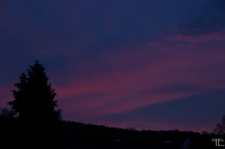 IMGP7672.webp