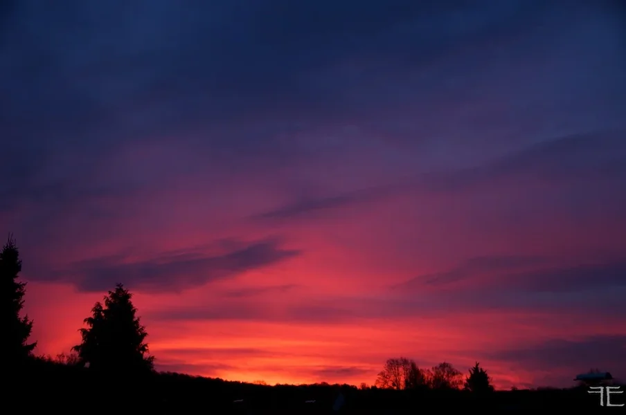 IMGP7688.webp