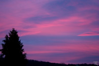 IMGP7695.jpg IMGP7695.jpg