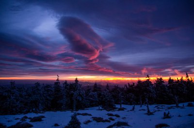 Log-Brocken-9874.jpg Log-Brocken-9874.jpg