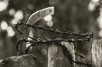 Stacheldraht Sepia.jpg