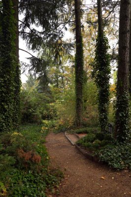Planitz_Herbst_006.jpg