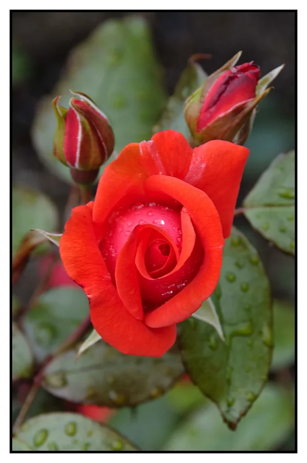 _small__IGP1459_2DxO.webp
