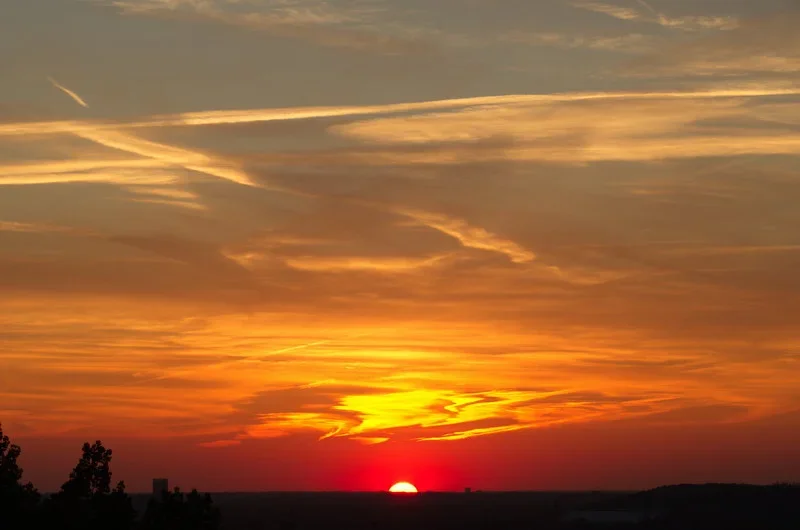IMGP5111_1.webp