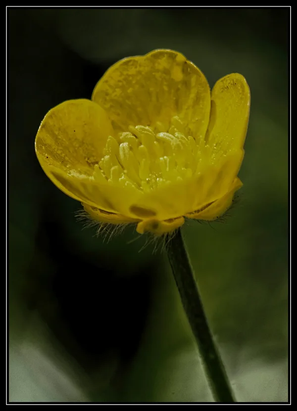 _small__IGP6910_2DxO.webp