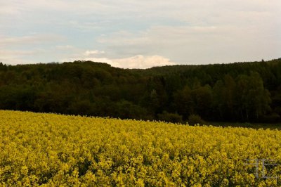 2014-04-21 17.32.57.jpg