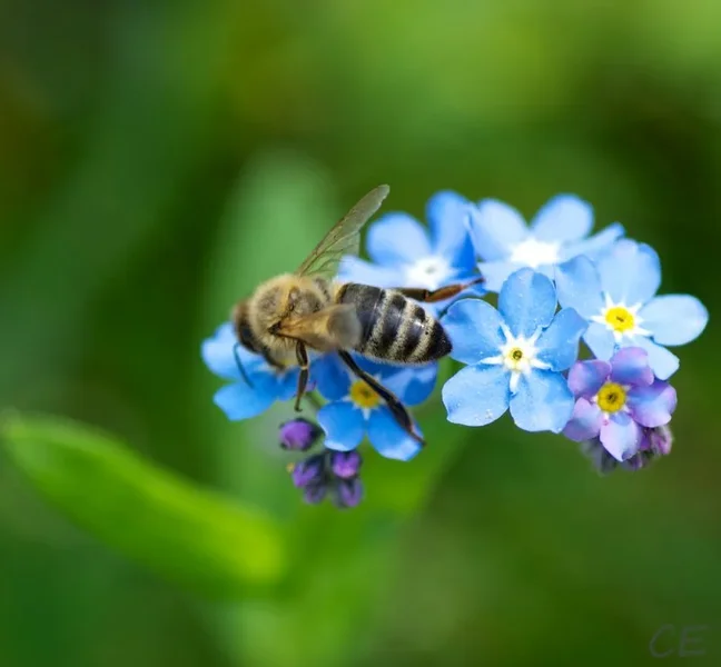 _IGP1631.webp