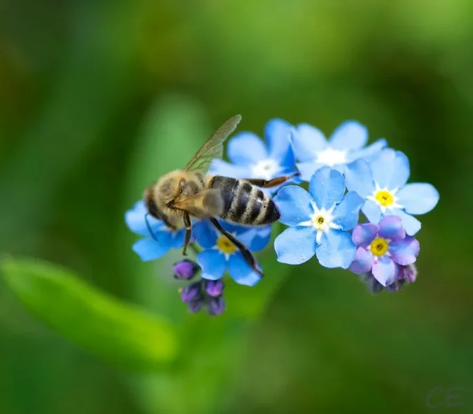 _IGP1631 (1).webp
