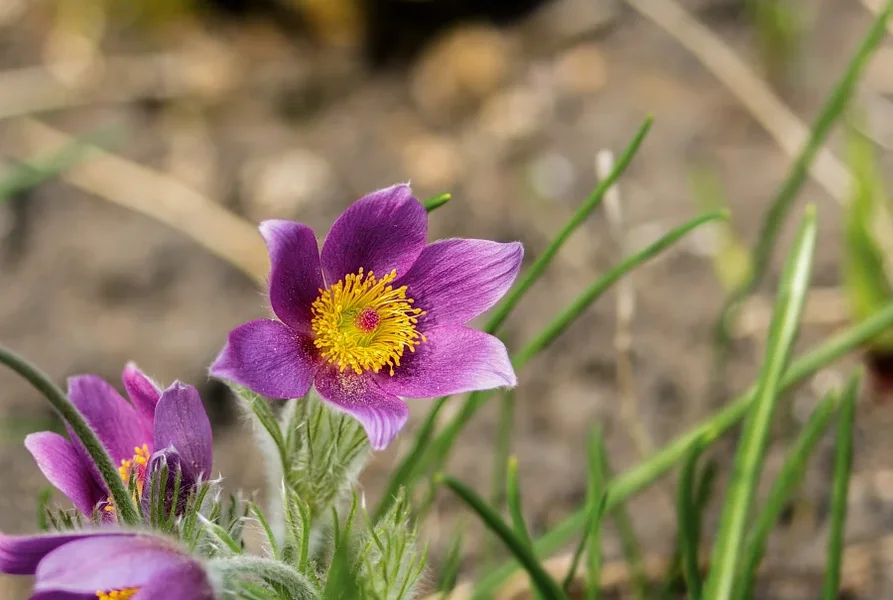 kuechenschelle_3.webp