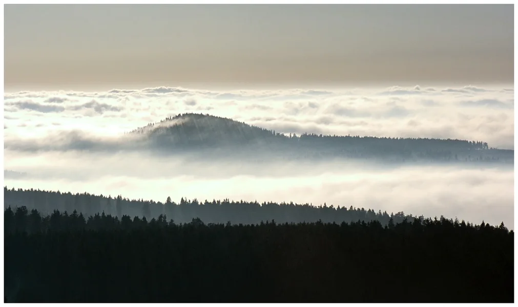 _small_DSCN2909-Fichtelberg.webp _small_DSCN2909-Fichtelberg.webp
