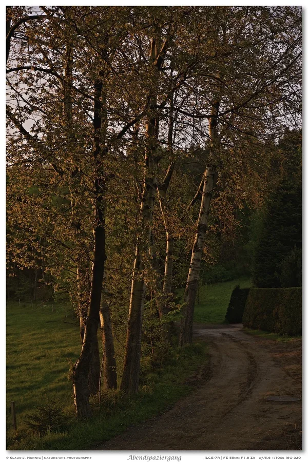 Abendspaziergang 002.webp