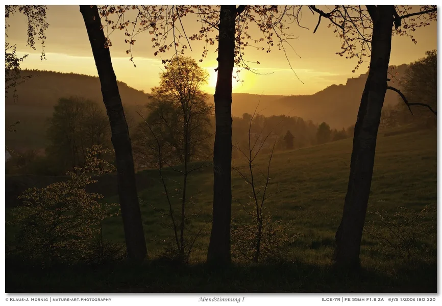 Abendstimmung I 002.webp