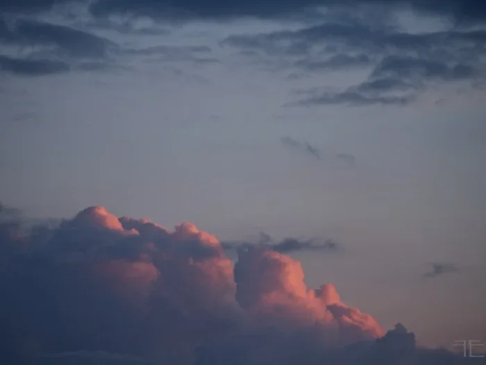 IMGP9311.webp