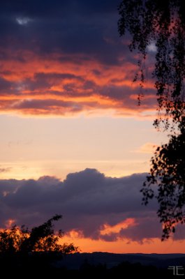IMGP9313.jpg