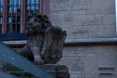 IMGP9331.jpg