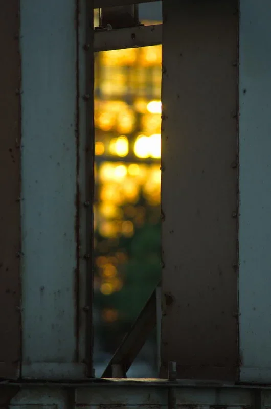 IMGP6296.webp