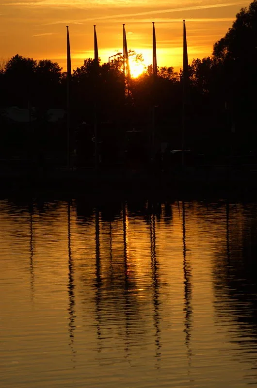 IMGP6305.webp