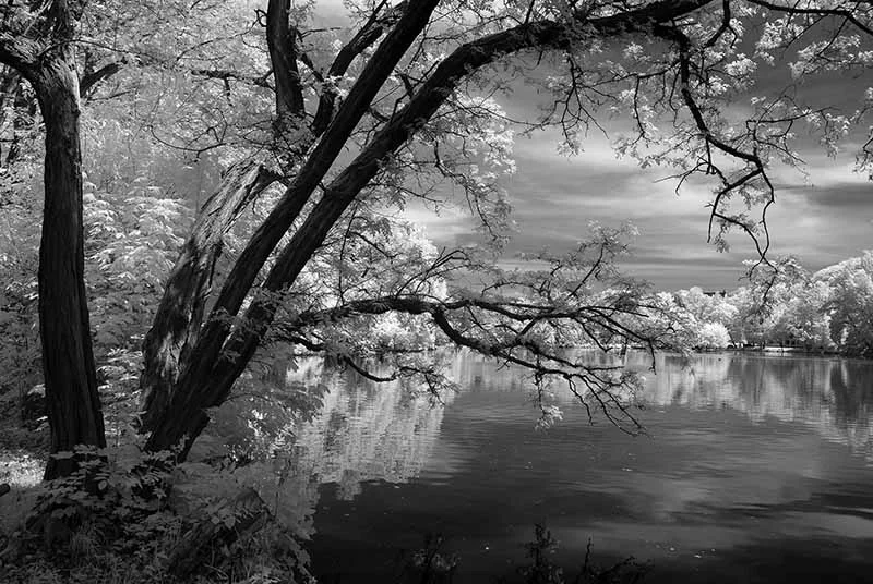 DSC_0425.webp