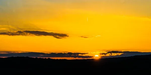 BILD5836.webp