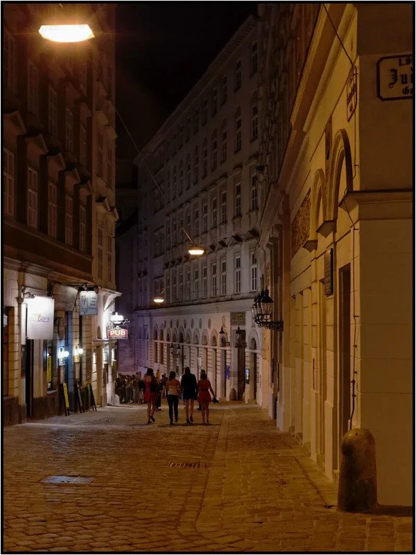 _small_235 Wien-Judengasse bei Nacht.webp