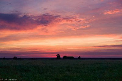 20150609-HOF1000639.jpg 20150609-HOF1000639.jpg