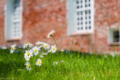 20150609-HOF1000570.jpg 20150609-HOF1000570.jpg