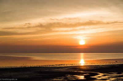 20150609-HOF1000588.jpg 20150609-HOF1000588.jpg