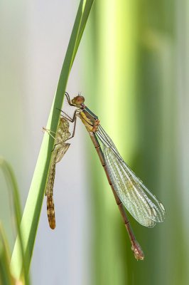 IMGP7830 Kopie 800.jpg