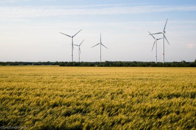 20150626 HOF -L1000704.jpg 20150626 HOF -L1000704.jpg