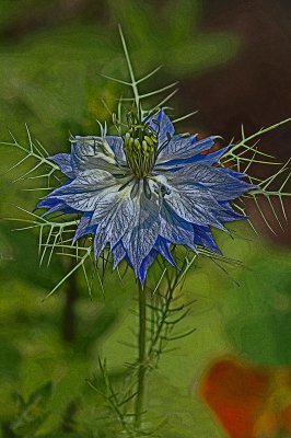 art-nature4.jpg