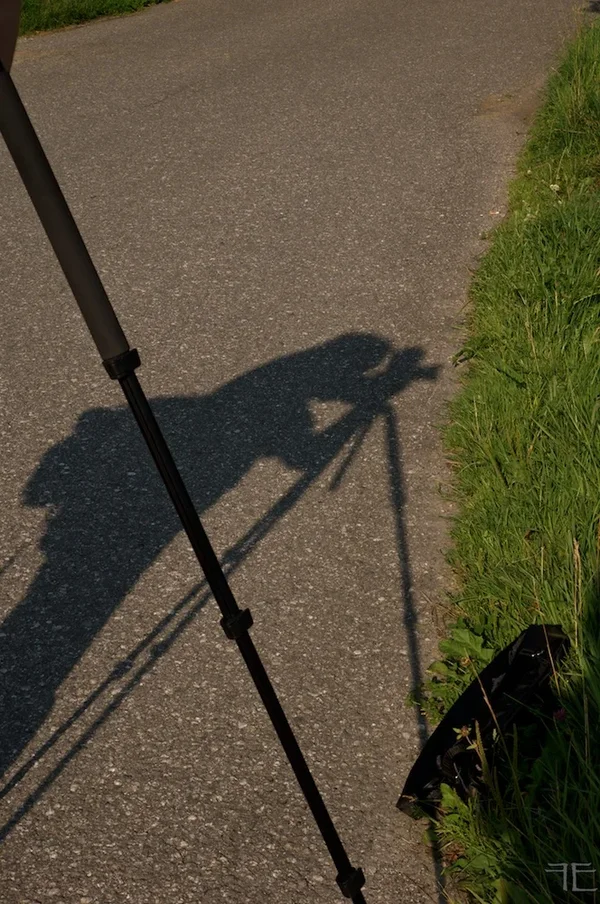 IMGP1044.webp