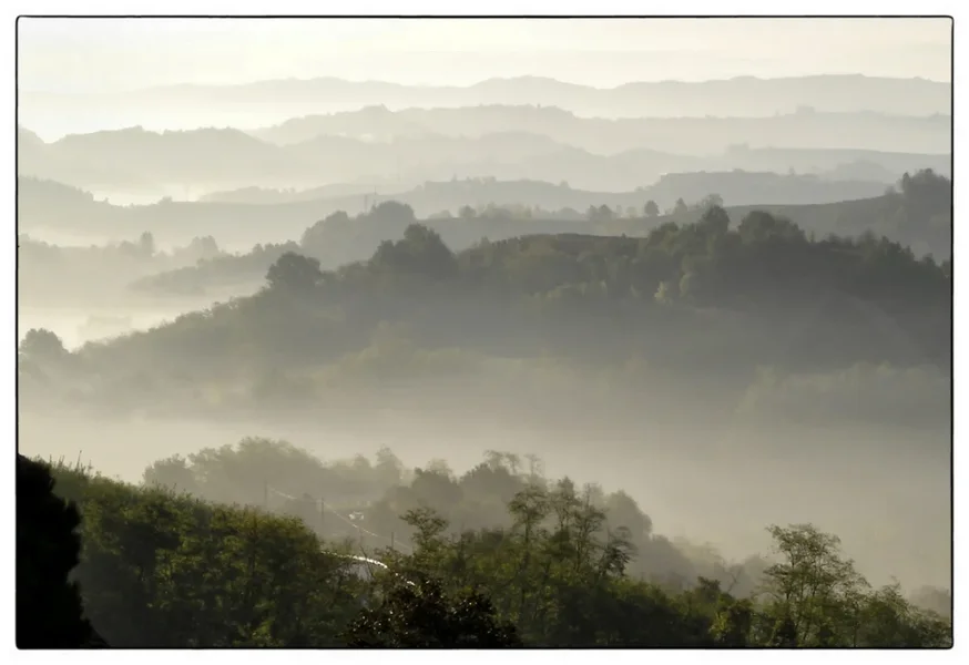 Piemont.webp