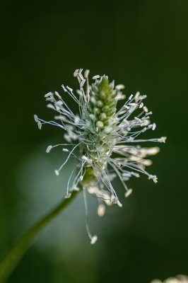 IMGP0019.jpg