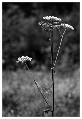 _small_01 Zellbachtal.JPG