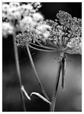 _small_02 Zellbachtal.JPG